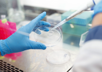 [Entrevista] Jorge Rodríguez: “Una de las tareas más importantes que ha tenido la salud pública en Chile es levantar barreras sanitarias”