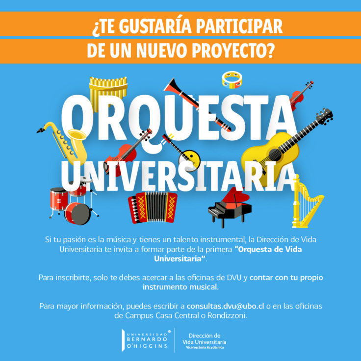 orquesta_dvu__redes