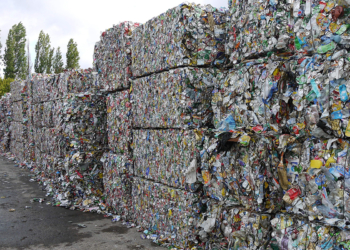 Ley REP: al rescate de nuestro ecosistema