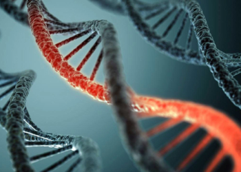 Cura contra el cáncer: Requiere investigación, tiempo e inversión